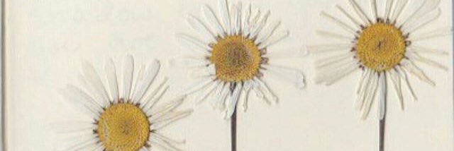 brittsnider09's profile banner image