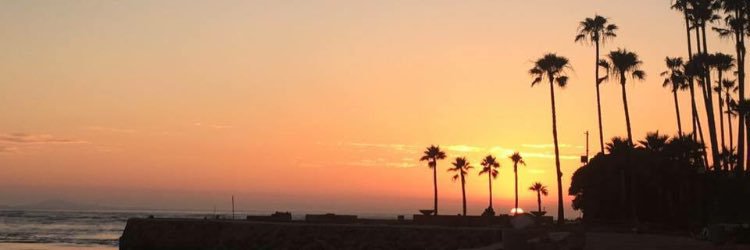 𝒮𝓉𝑒𝓅𝒽𝒶𝓃𝒾𝑒 🧚 banner