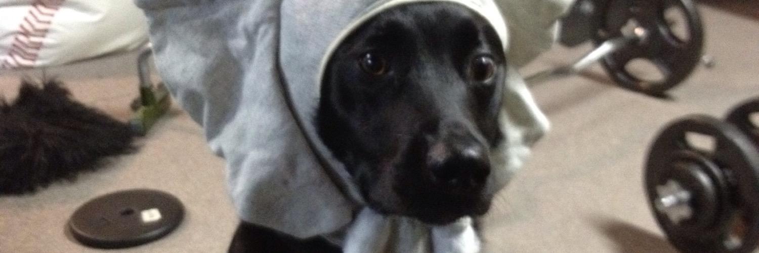 daisyDukecleg's profile banner image