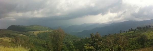 SWalshEU Profile Banner