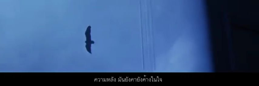 Amassaaa's profile banner image