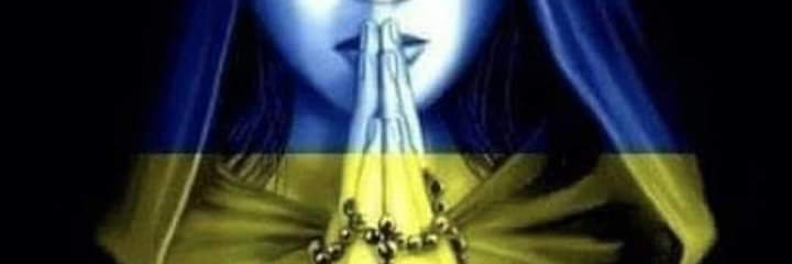 ElenaUstymenko's profile banner image