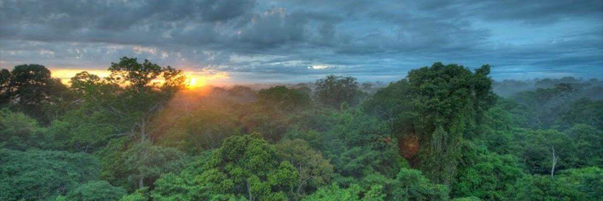 es_tante's profile banner image