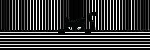 Brick Van Exel banner