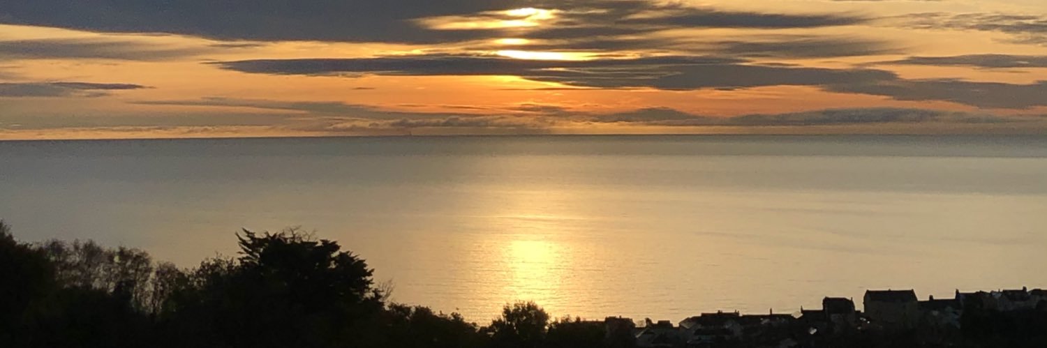 Lisa Singleton banner