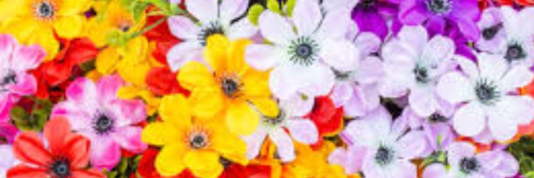 fannyalonso83's profile banner image