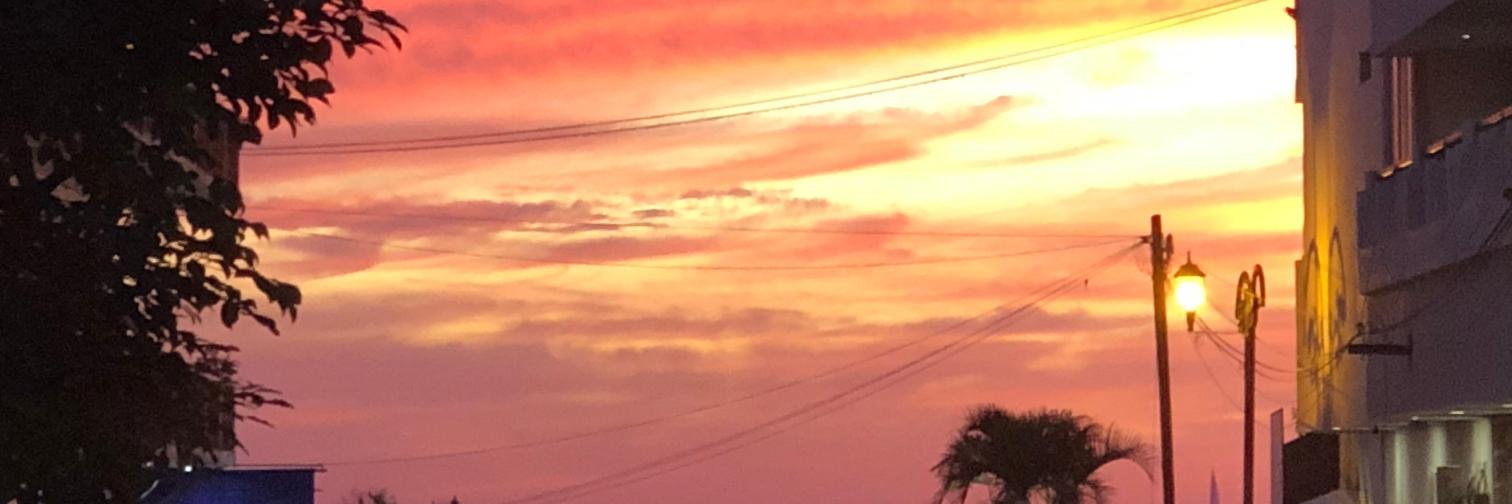 timelord1970's profile banner image