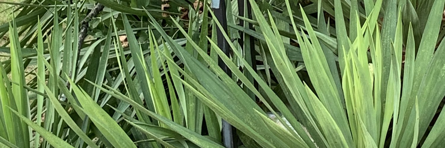 mcgmkm's profile banner image