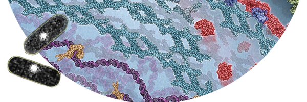 JieXiao_Lab Profile Banner