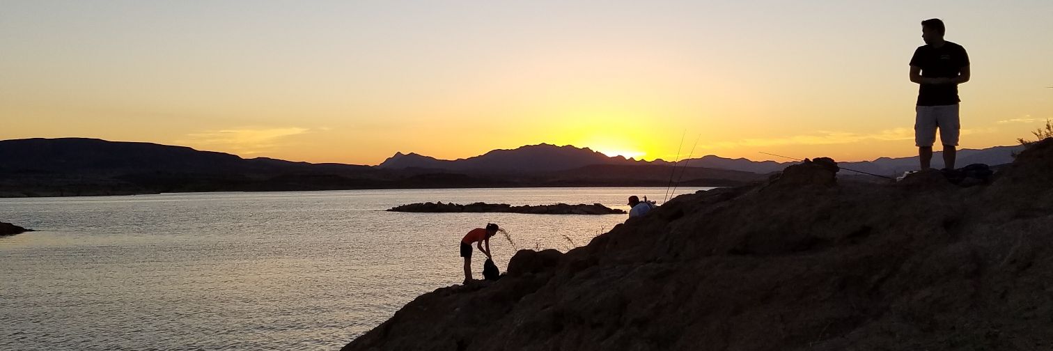 Dr. Dano, Ph.D. banner