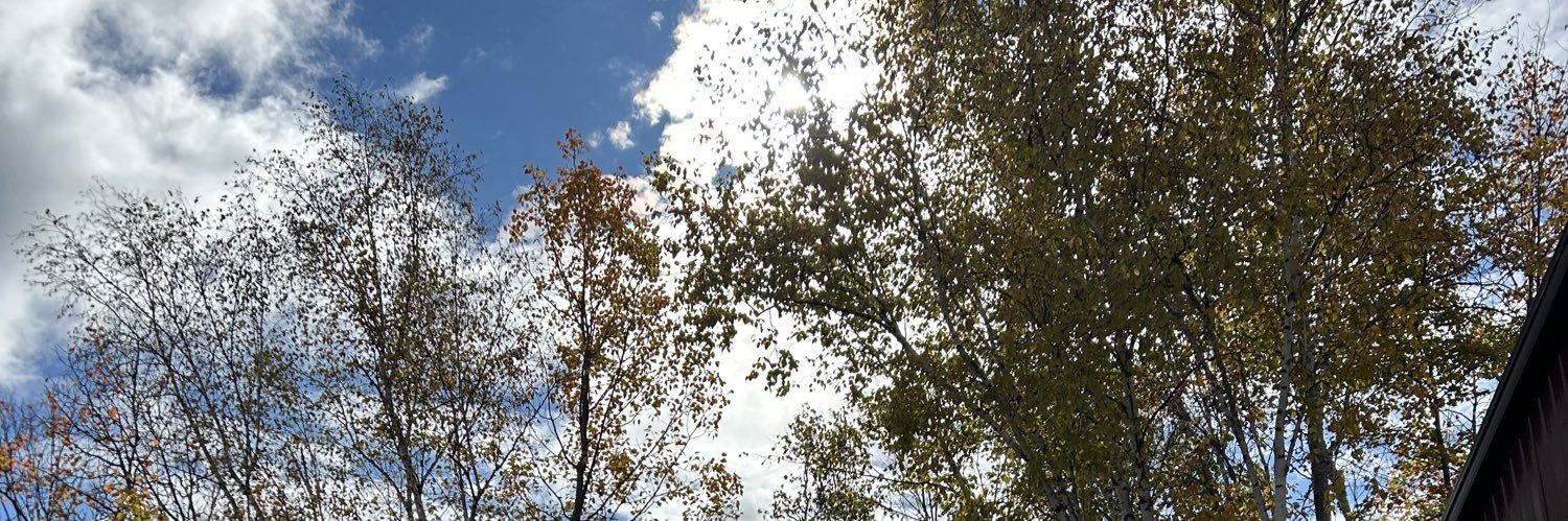 AlexisCSmith18's profile banner image