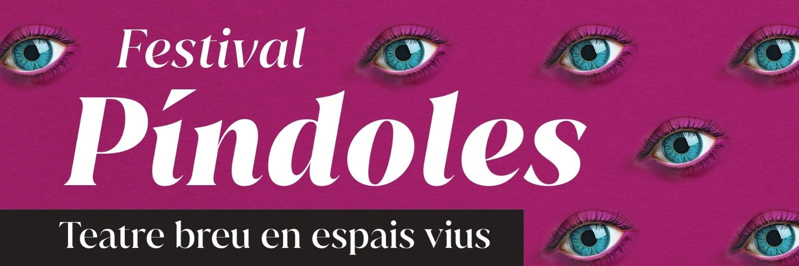 Festival Píndoles banner