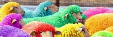 evferd's profile banner image