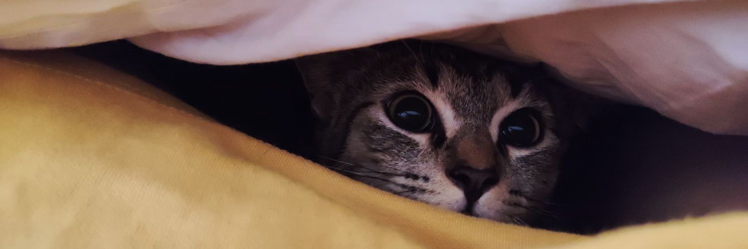 lyyssstttt's profile banner image