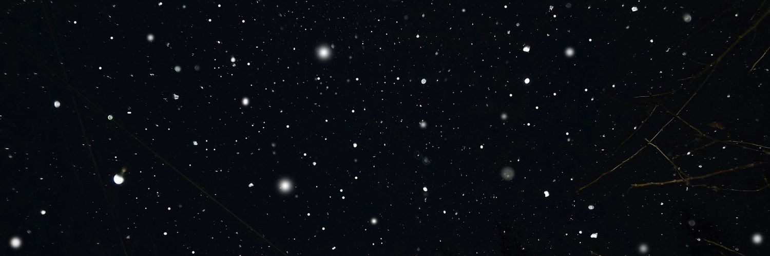 sensitivechmo's profile banner image