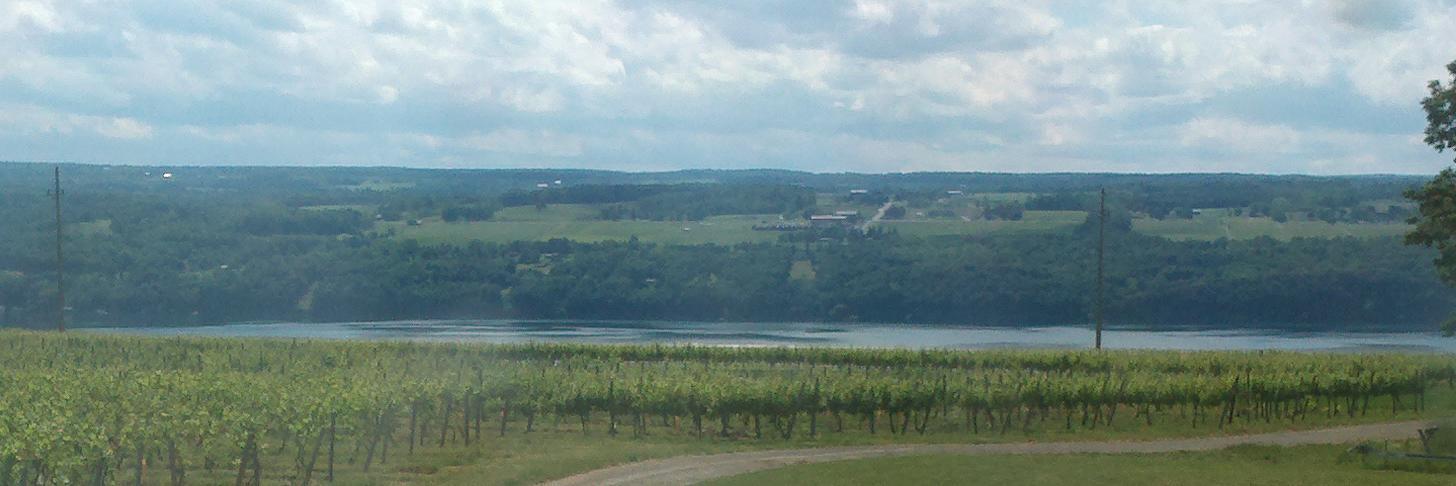 PRSA Finger Lakes banner