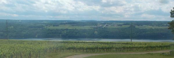 PRSAFLX Profile Banner