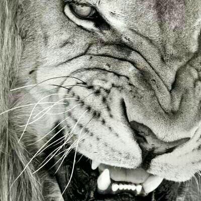 _lord_d__'s profile banner image