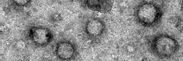 DionysiosWatson Profile Banner