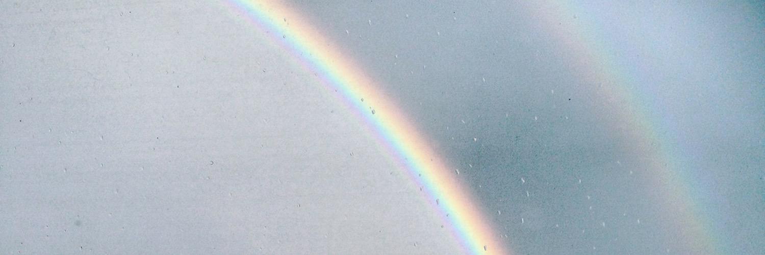 rosierudd_'s profile banner image