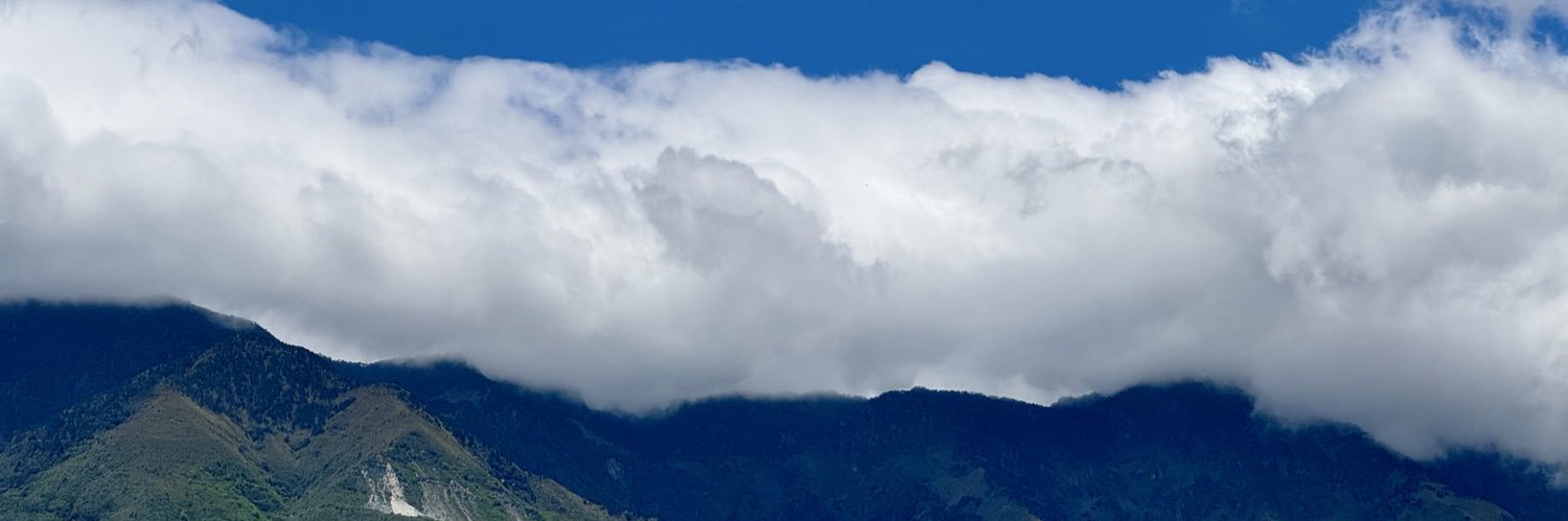 banboo's banner
