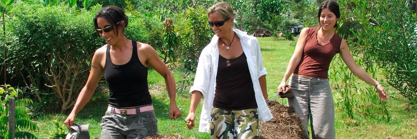 Ethos Foundation banner