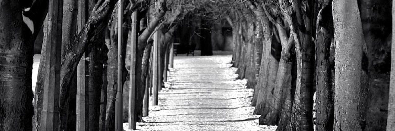 Τριαινα πουτανα banner