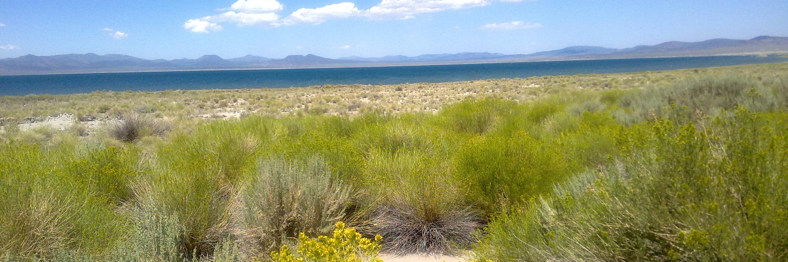 Jobst Vollmer banner