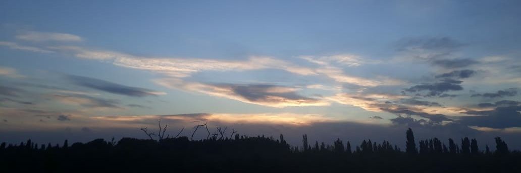 javierlamenza's profile banner image