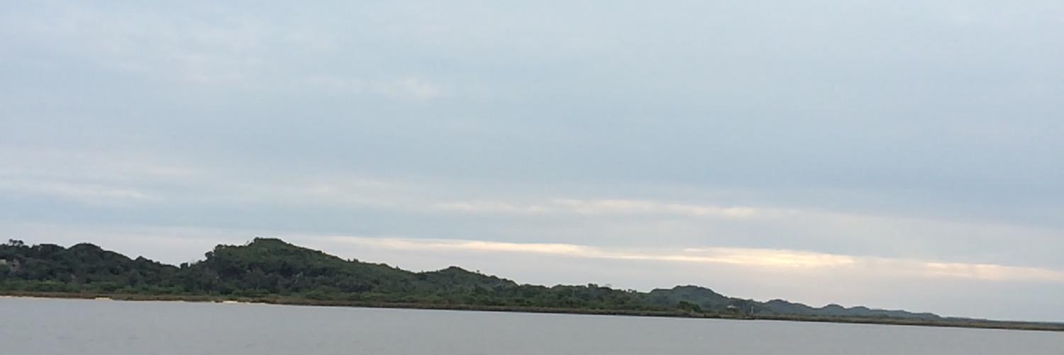 cliffordingdong's profile banner image