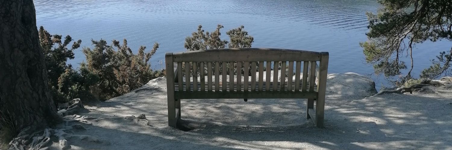 georgiesean's profile banner image