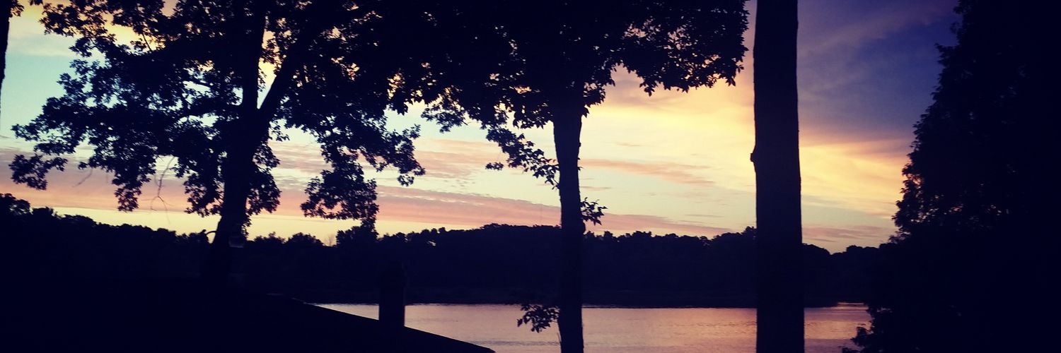 amiee_bishop's profile banner image