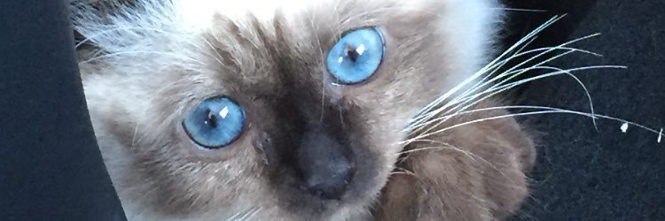 prod63's profile banner image