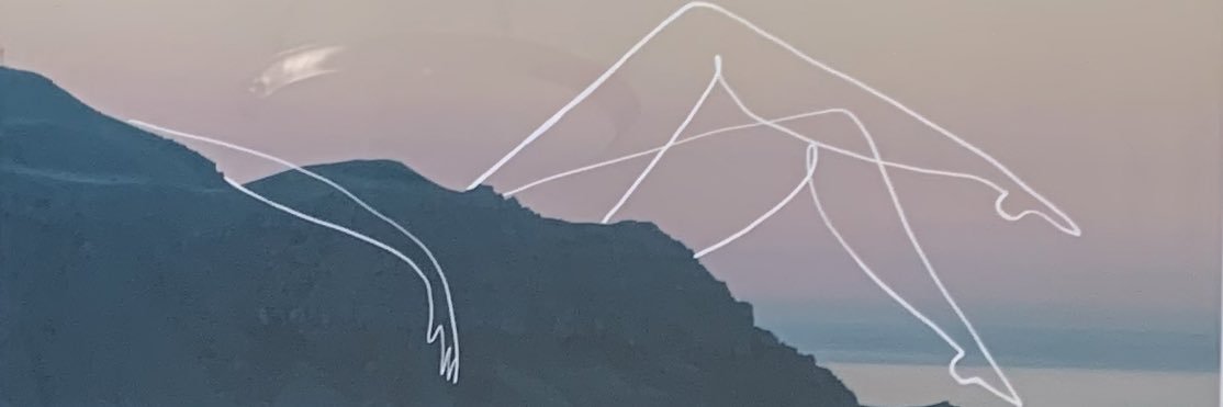 Maya Seshadri banner