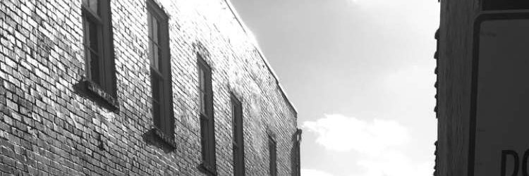 Lou_Adams05's profile banner image