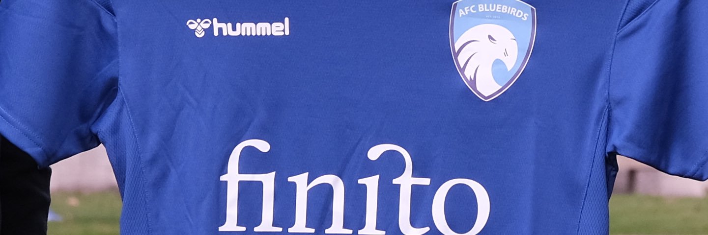 AFC Bluebirds banner