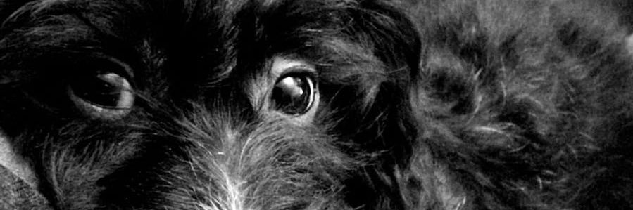 Ey3_Kandi's profile banner image
