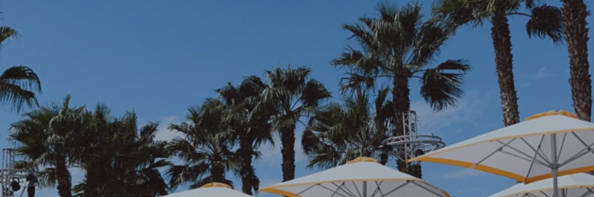 kaitlin banner