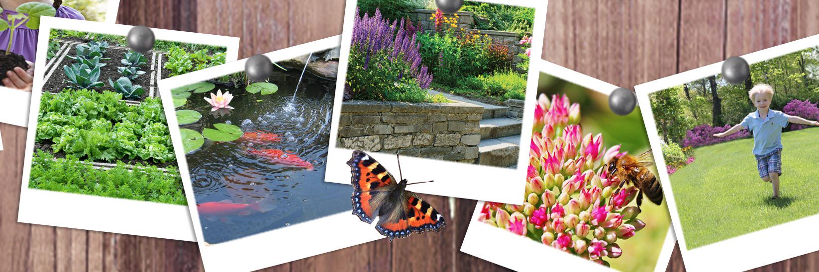 BioSafe_Garden's profile banner image