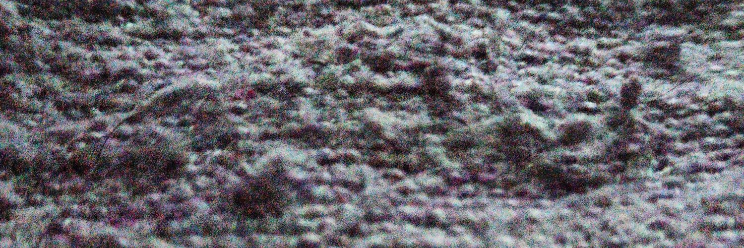 Toriamar_'s profile banner image