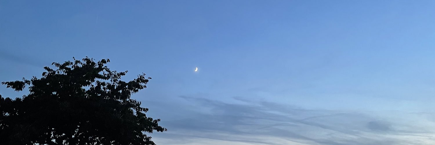 strangerlot's profile banner image