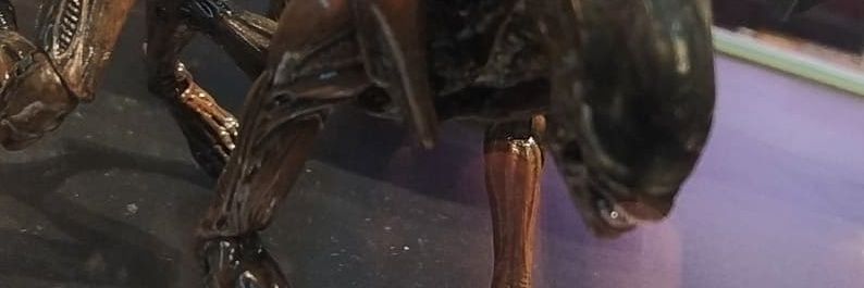 xtramais's profile banner image