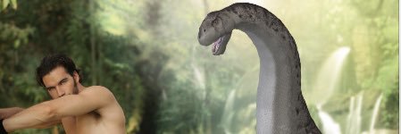 hunterfoxbooks's profile banner image