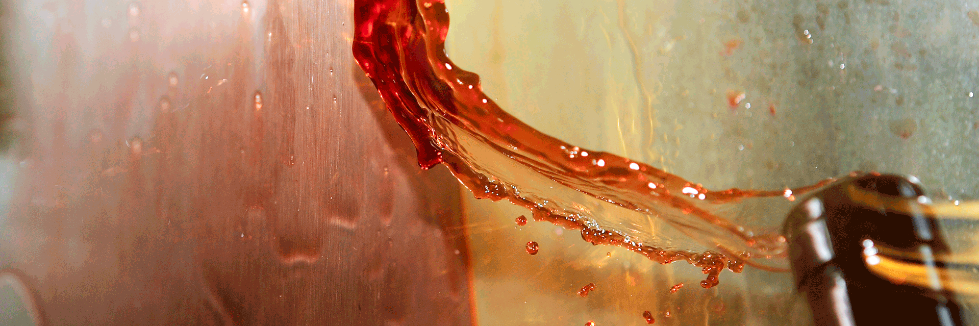 cantinesanmarco's profile banner image