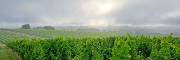 PascalNerbesson Profile Banner