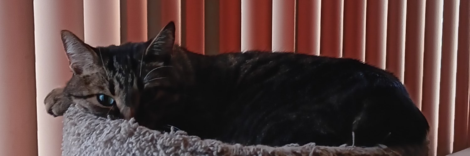 CrazedAnxiety's profile banner image