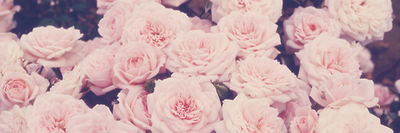 Madisonxxlee's profile banner image