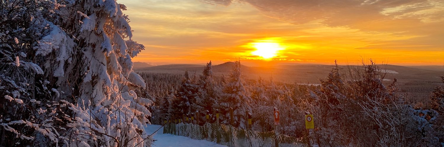 Simone_Hertel's profile banner image