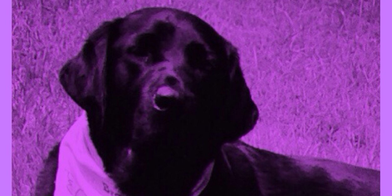 DevanChez's profile banner image