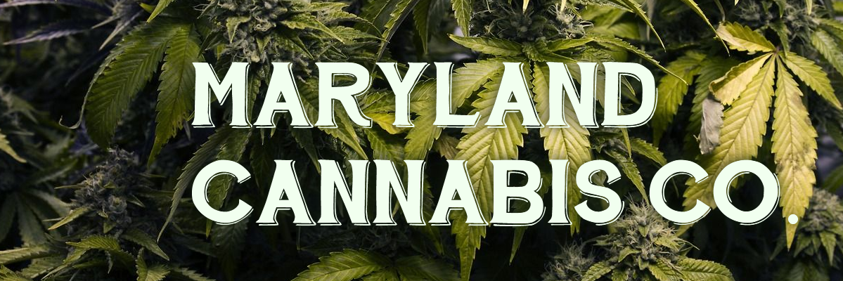 mdcannabisco's profile banner image
